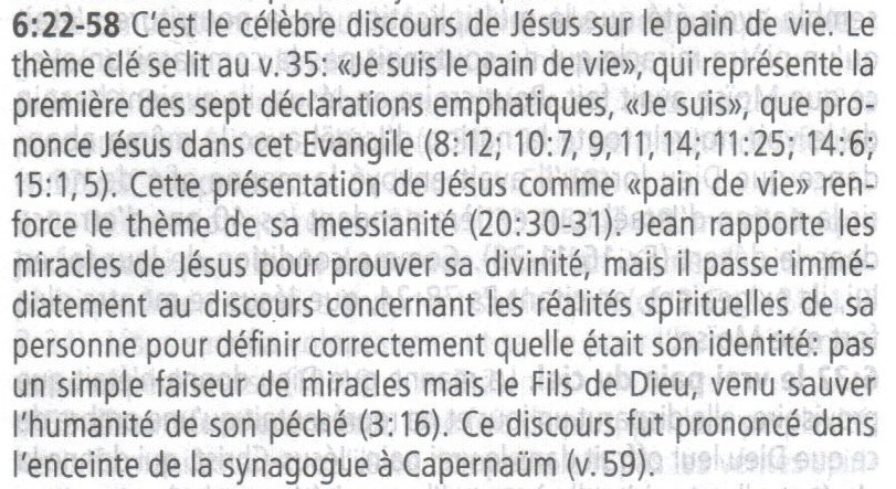 John Mac Arthur Jean 6:22